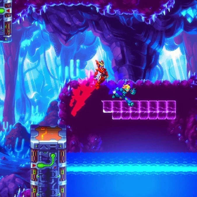 20XX / 30XX Nintendo Switch