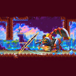 20XX / 30XX Nintendo Switch