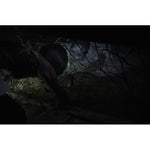 FATAL FRAME II: Crimson Butterfly REMAKE (Nintendo Switch 2)