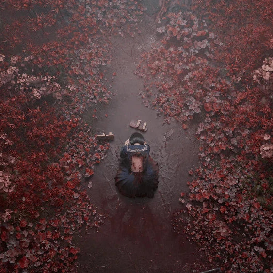 Silent Hill f Day One Edition PS5 + SteelBook offert