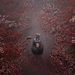 Silent Hill f Day One Edition PS5 + SteelBook offert