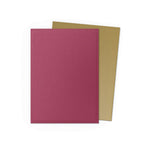 Dragon Shield Dual Matte - Standard Sleeves Pomegranate x100