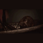 Oxide Room 208 Collector's Edition PS5