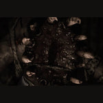 Oxide Room 208 Collector's Edition PS5