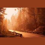 Pacific Drive Standard Edition PS5