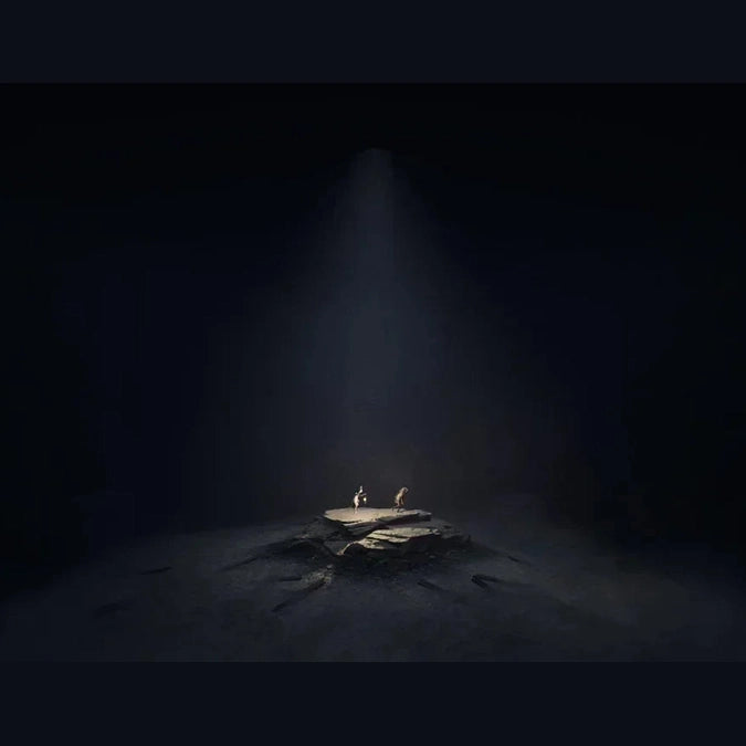 Reanimal Collector's Edition Switch 2