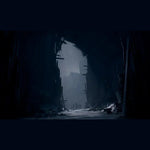 Reanimal Collector's Edition Switch 2